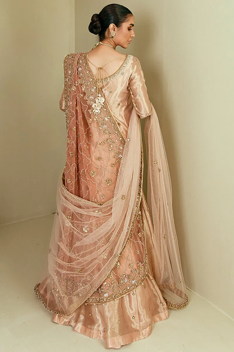 Latest Pakistani Bridal Sharara Suit in Tissue #BS732