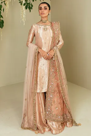 Latest Pakistani Bridal Sharara Suit in Tissue #BS732