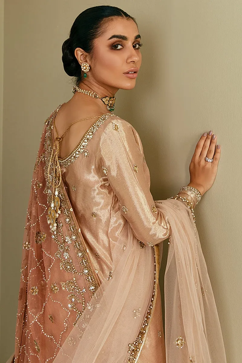 Latest Pakistani Bridal Sharara Suit in Tissue #BS732