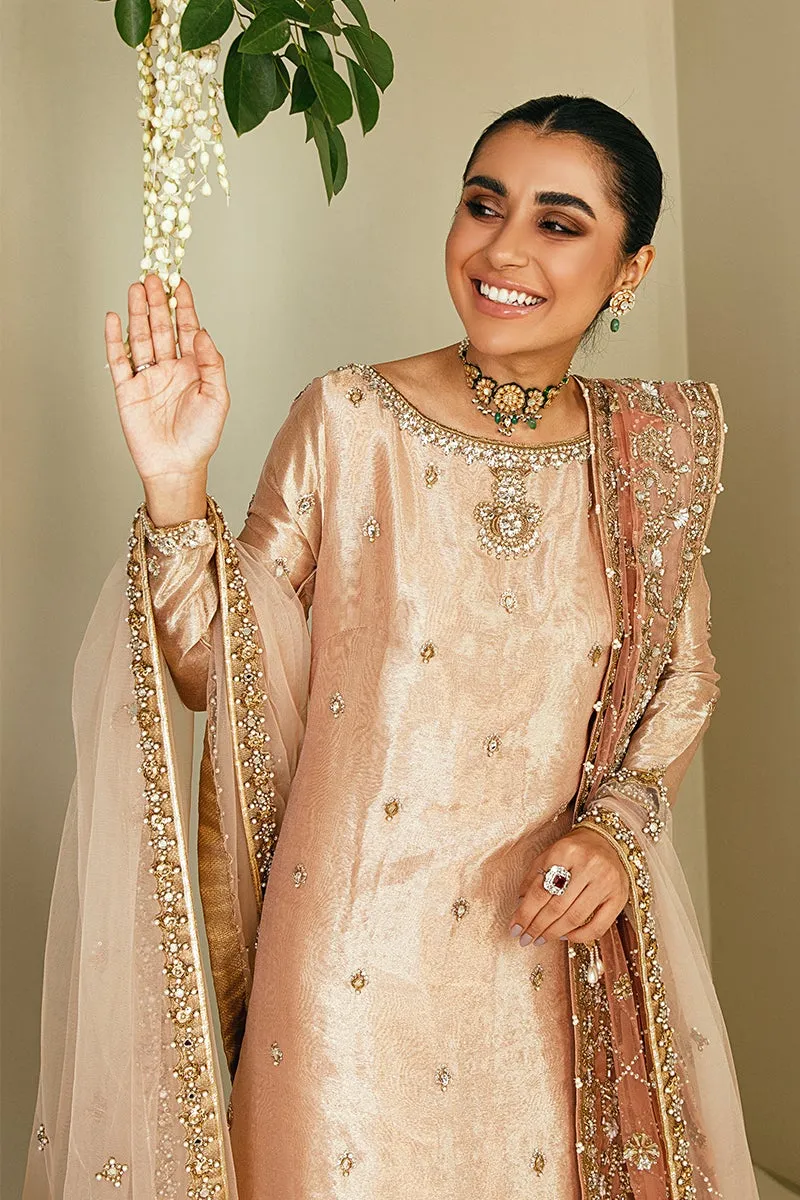 Latest Pakistani Bridal Sharara Suit in Tissue #BS732