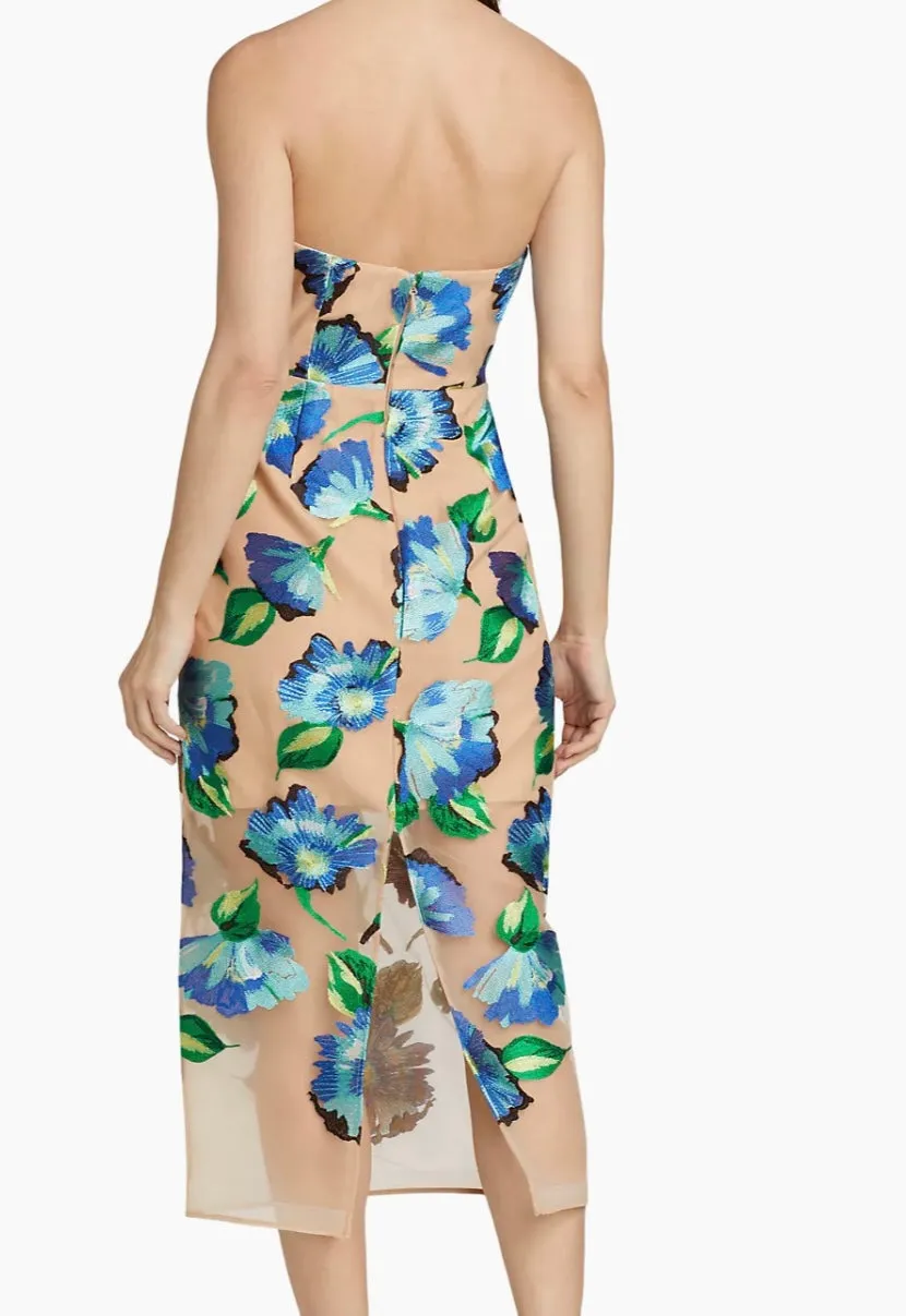 PICTORAL DRESS