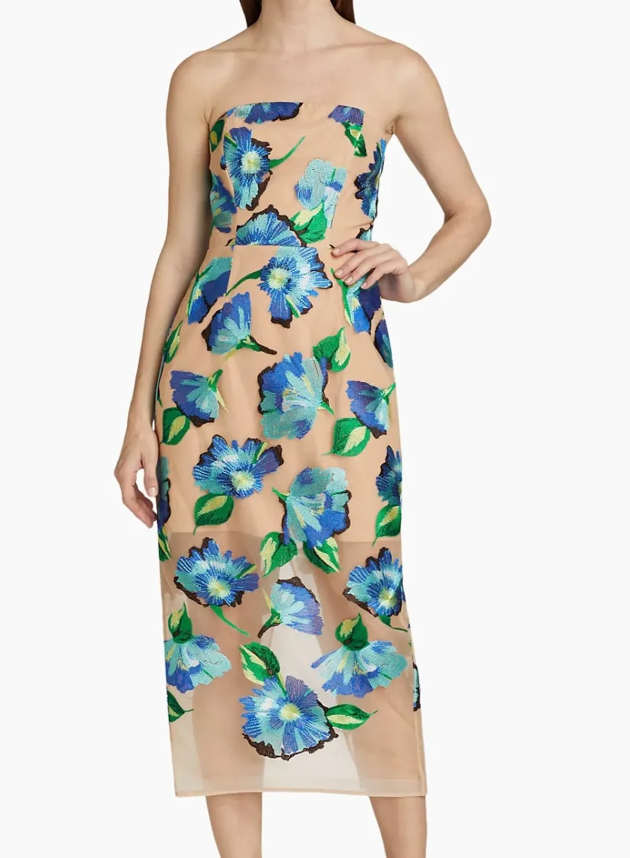 PICTORAL DRESS