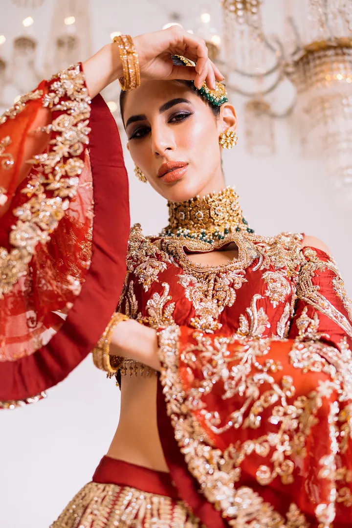 Royal Pakistani Bridal Lehenga Choli Dress for Wedding