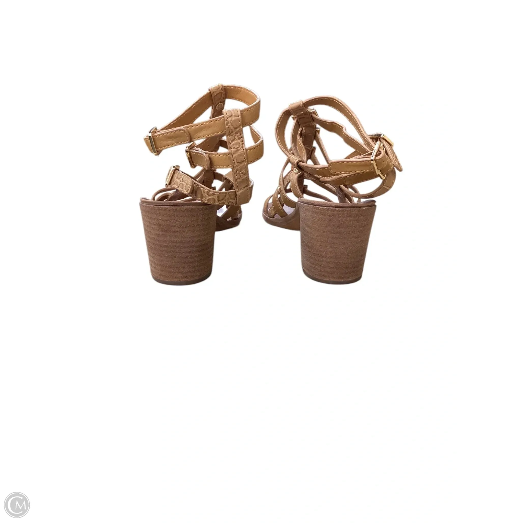 Sandals Designer By Tory Burch In Tan, Size: 8