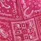 Wrangler Girl's Barbie Bandana Western Snap Shirt Dress